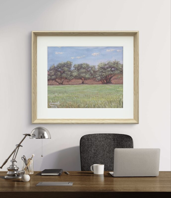Oil painting of an olive grove and green field under a blue sky, created in 2024.